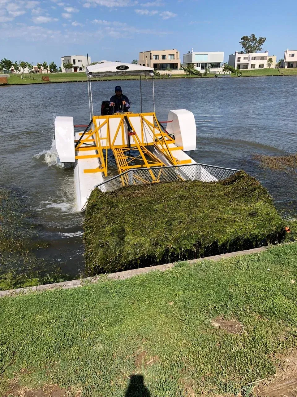 Limpieza y recuperación de espejos de agua